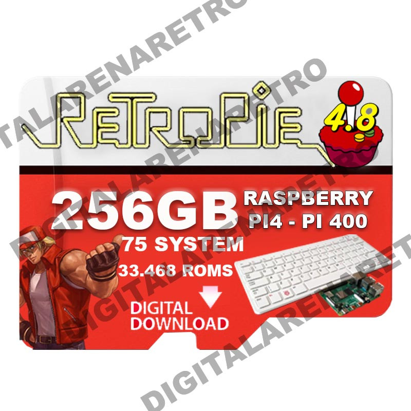 RETROPIE 4.8.2 256 GB IMAGE FOR PI4 - PI400